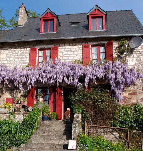 Saint-Bonnet-la-Rivière Corrèze maison avec gîte foto