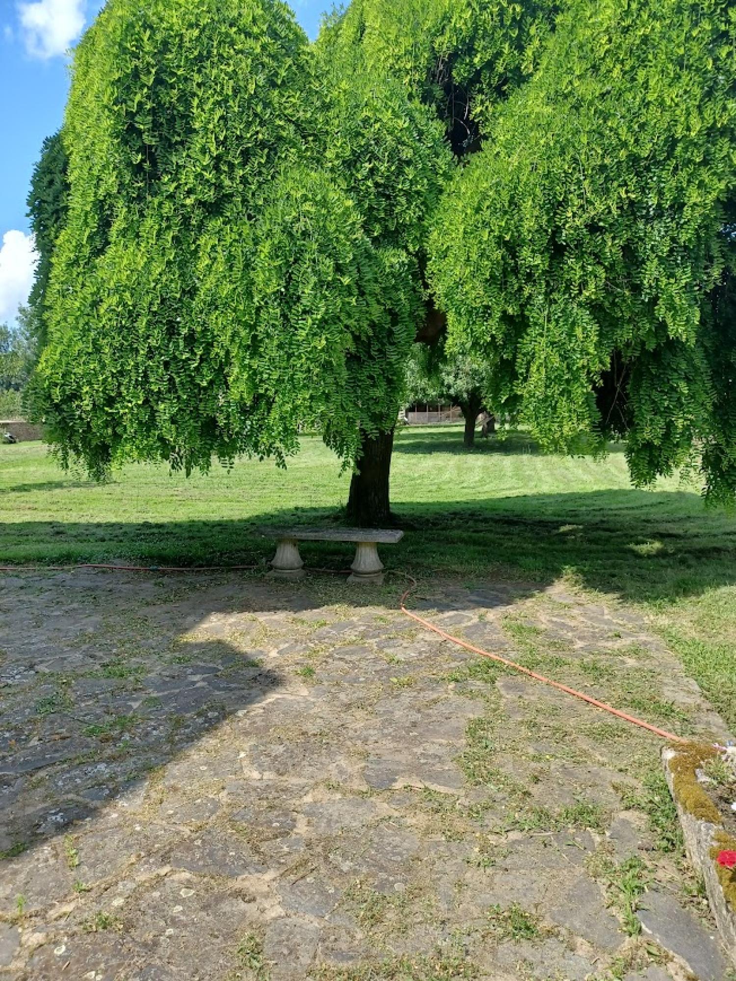 maison indépendant à vendre Cuzion, Indre ( Centre-Val de Loire) photo 30