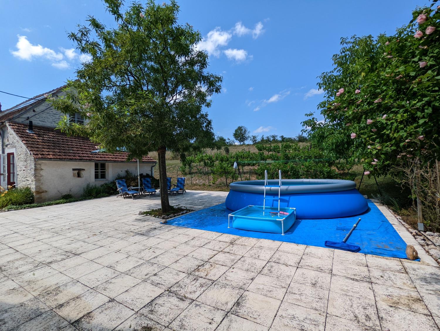 maison indépendant à vendre Vicq-Exemplet, Indre ( Centre-Val de Loire) photo 2