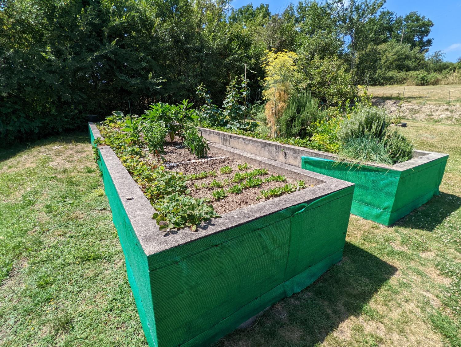 maison indépendant à vendre Vicq-Exemplet, Indre ( Centre-Val de Loire) photo 12
