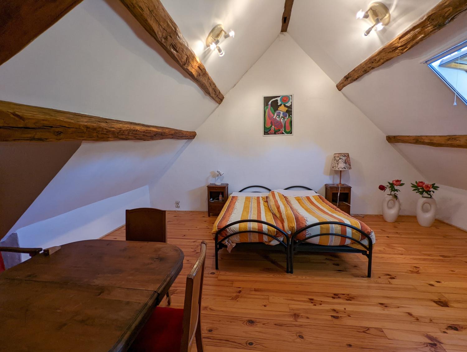 maison indépendant à vendre Vicq-Exemplet, Indre ( Centre-Val de Loire) photo 28