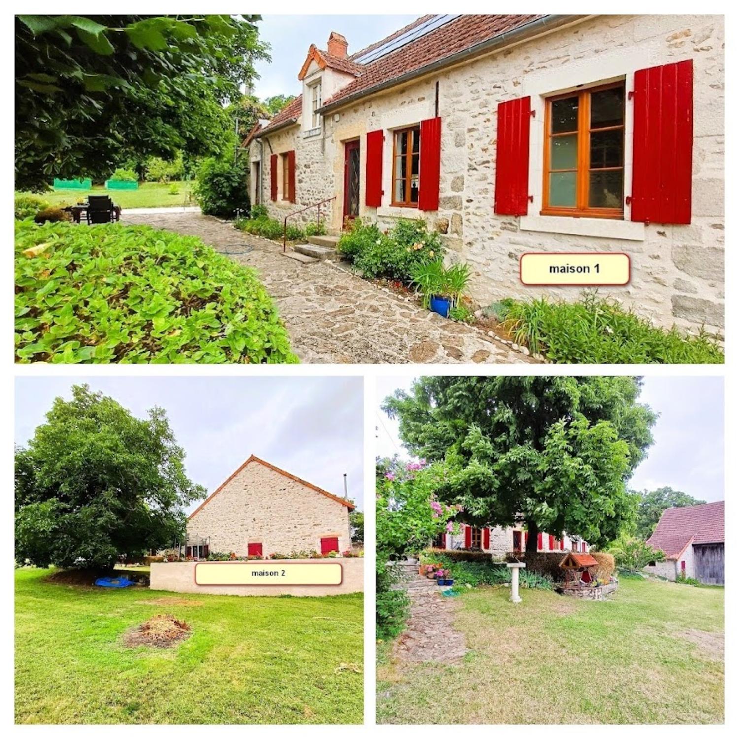 maison indépendant à vendre Vicq-Exemplet, Indre ( Centre-Val de Loire) photo 1