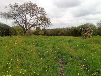 Les Rairies Maine-et-Loire terrain photo 4744820