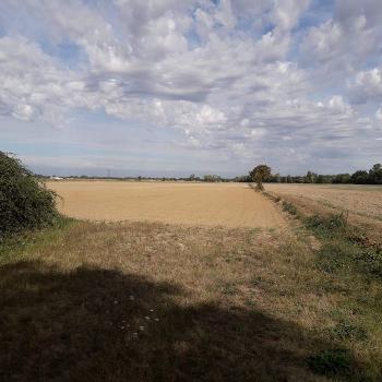 Montech Tarn-et-Garonne terrain photo 5031236