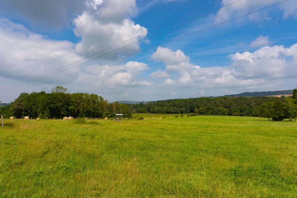  à vendre ferme de village Bourbonne-les-Bains Haute-Marne 22