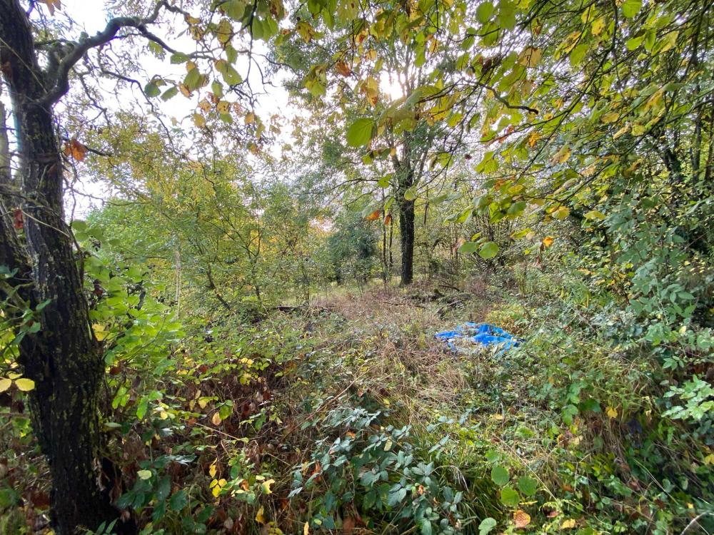  à vendre ferme de village Voisey Haute-Marne 18