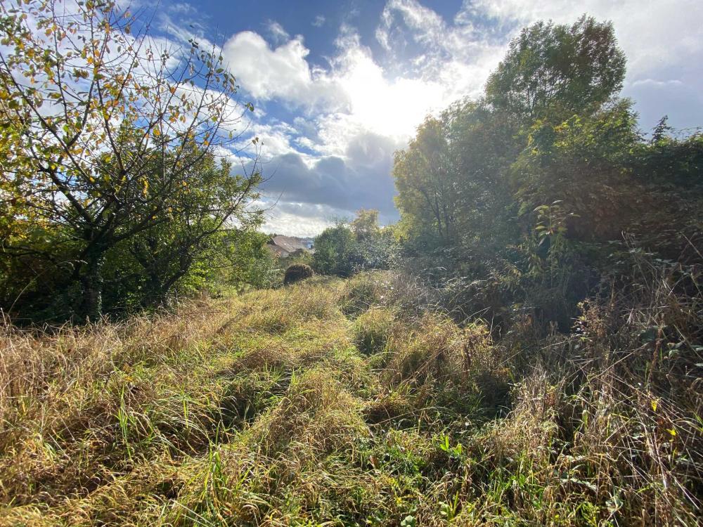  à vendre ferme de village Voisey Haute-Marne 16