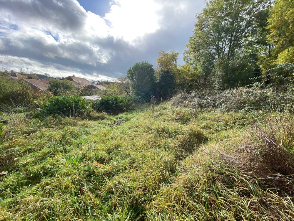  à vendre ferme de village Voisey Haute-Marne 20