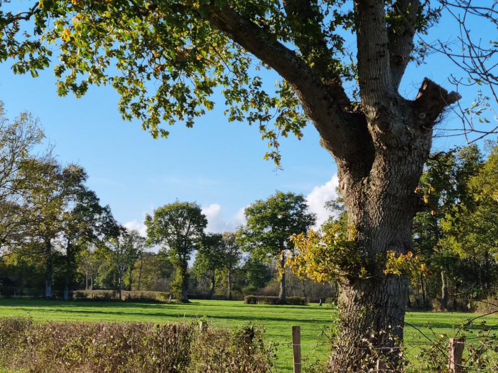  à vendre maison indépendant Argentan Orne 4