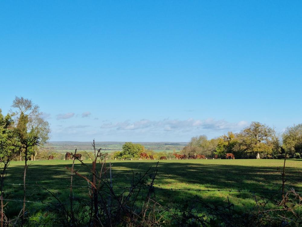  à vendre maison indépendant Argentan Orne 7