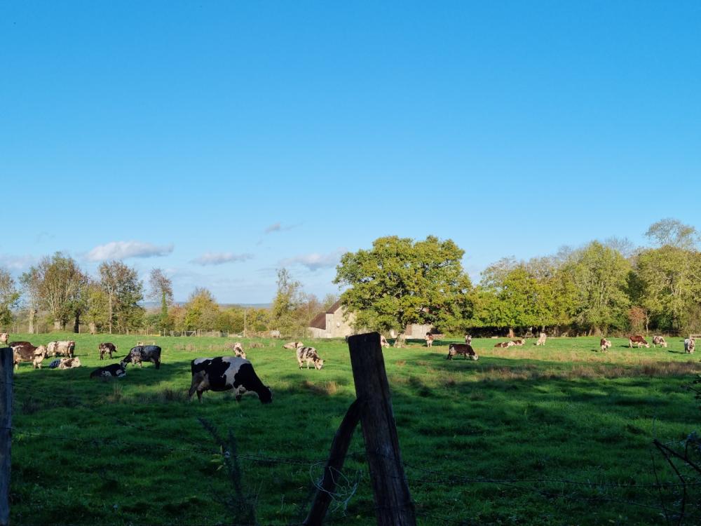  à vendre maison indépendant Argentan Orne 6