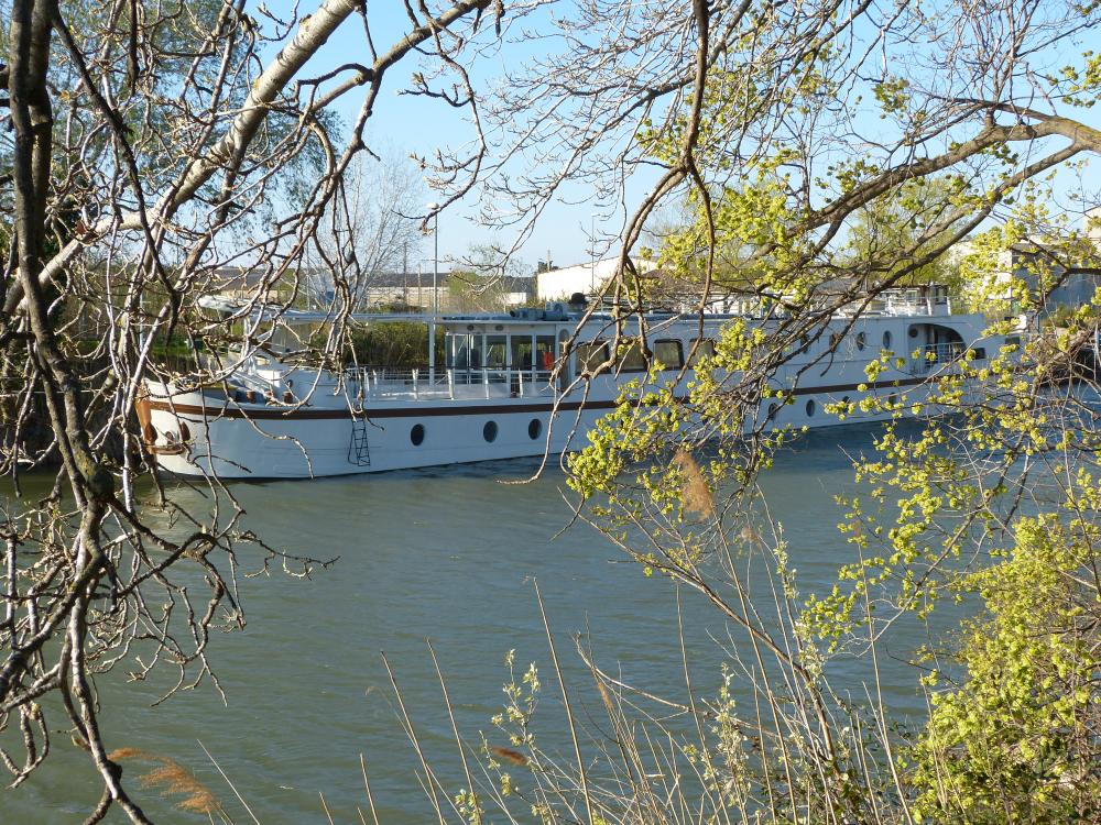  à vendre maison avec gîte Arles Bouches-du-Rhône 1