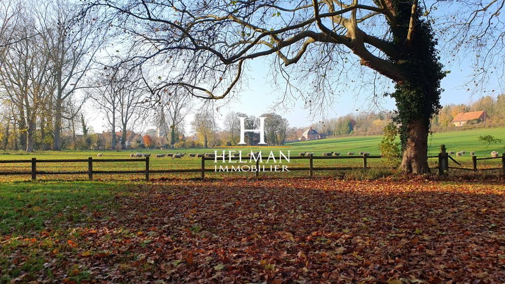  à vendre château Noyelles-lès-Vermelles Pas-de-Calais 3