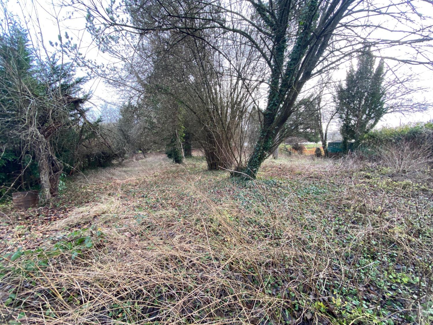  à vendre ferme de village Vernois-sur-Mance Haute-Saône 19