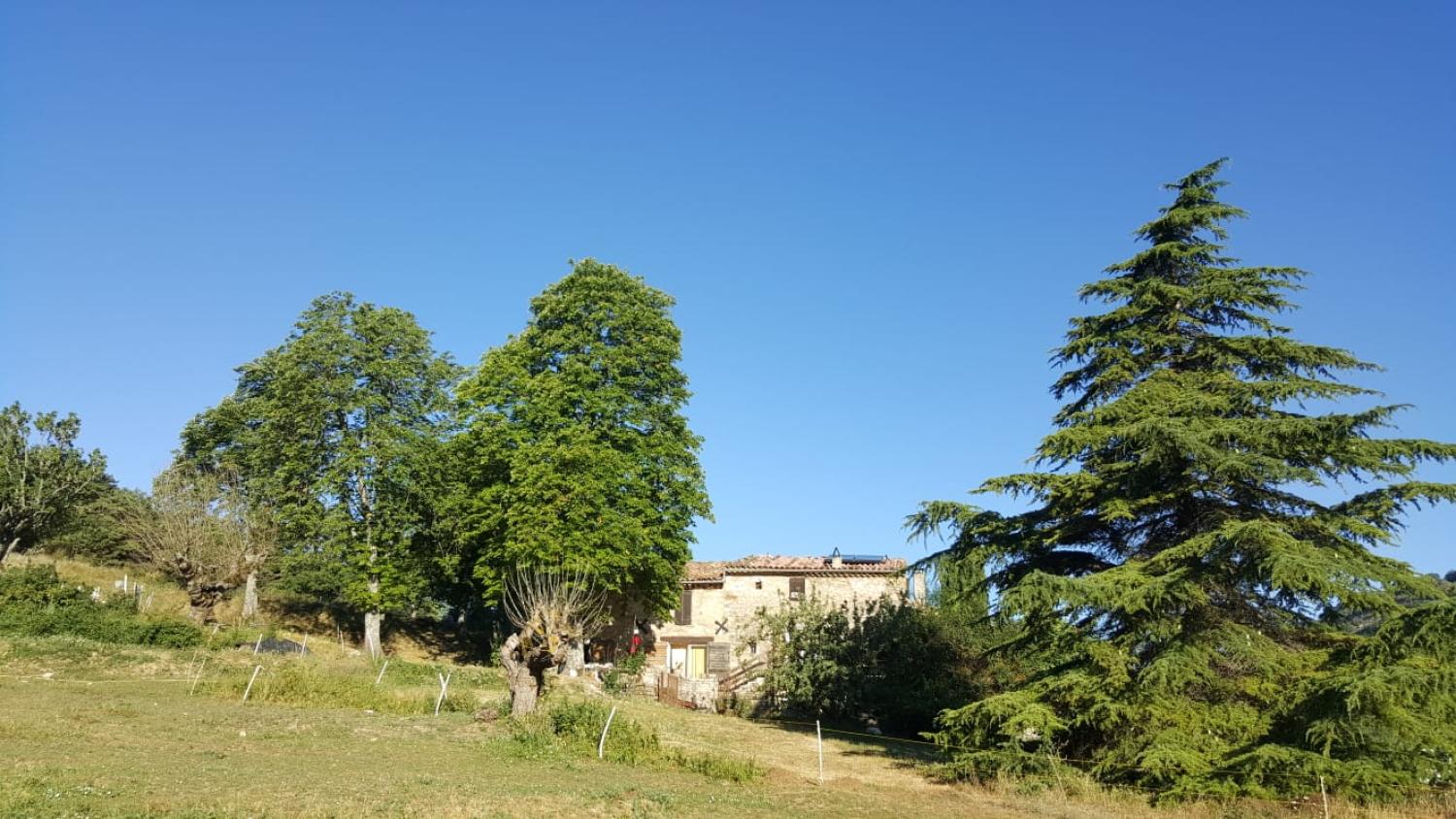 Forcalquier Alpes-de-Haute-Provence maison avec gîte foto 6847270