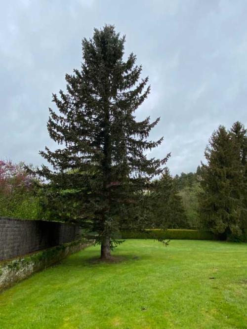  à vendre maison bourgeoise Monthureux-sur-Saône Vosges 41