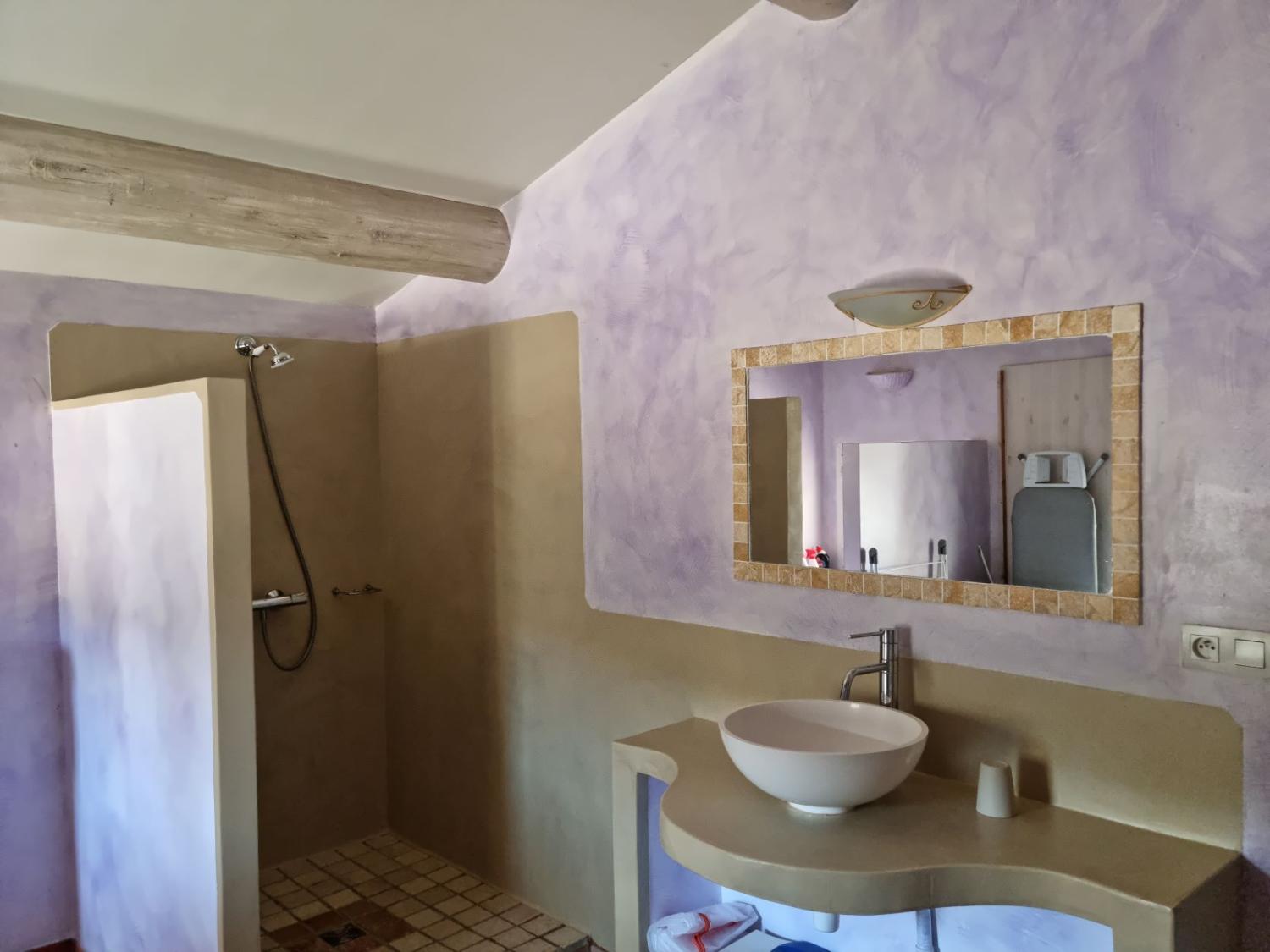  à vendre maison avec gîte Banon Alpes-de-Haute-Provence 48