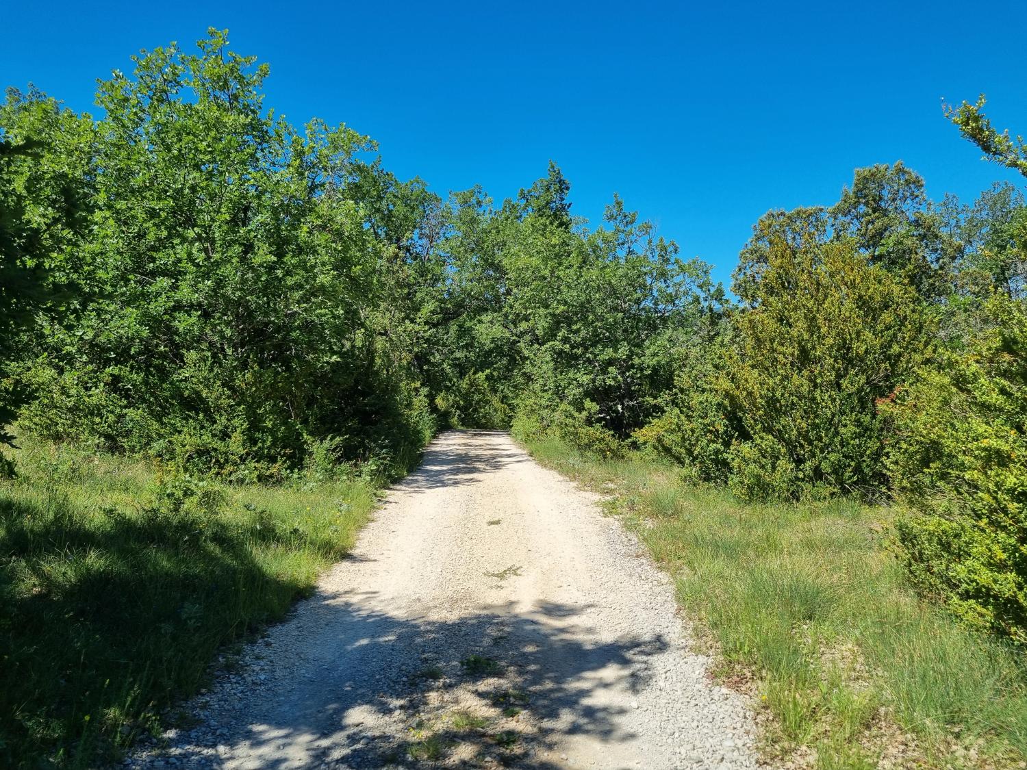  à vendre maison avec gîte Banon Alpes-de-Haute-Provence 57