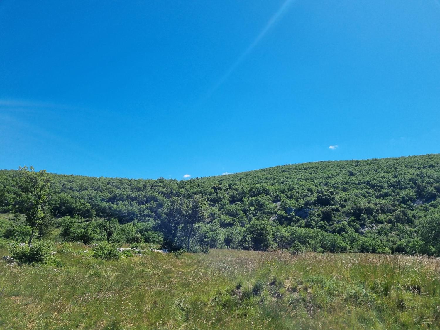  à vendre maison avec gîte Banon Alpes-de-Haute-Provence 51