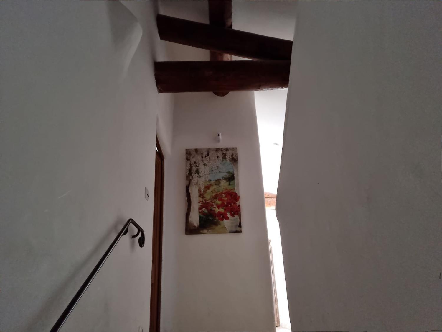  à vendre maison avec gîte Banon Alpes-de-Haute-Provence 17