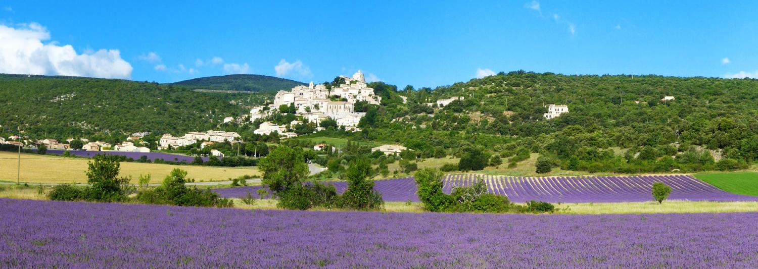  à vendre maison avec gîte Banon Alpes-de-Haute-Provence 61