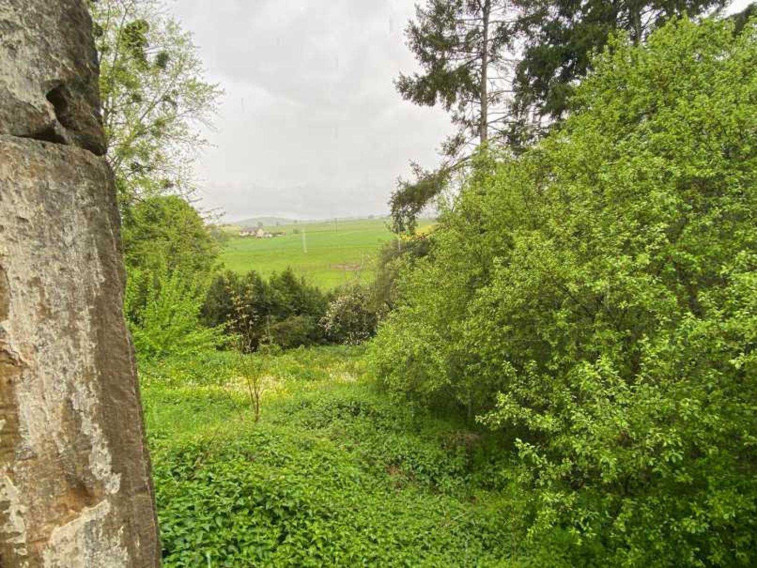  à vendre ferme de village Rosoy-sur-Amance Haute-Marne 7