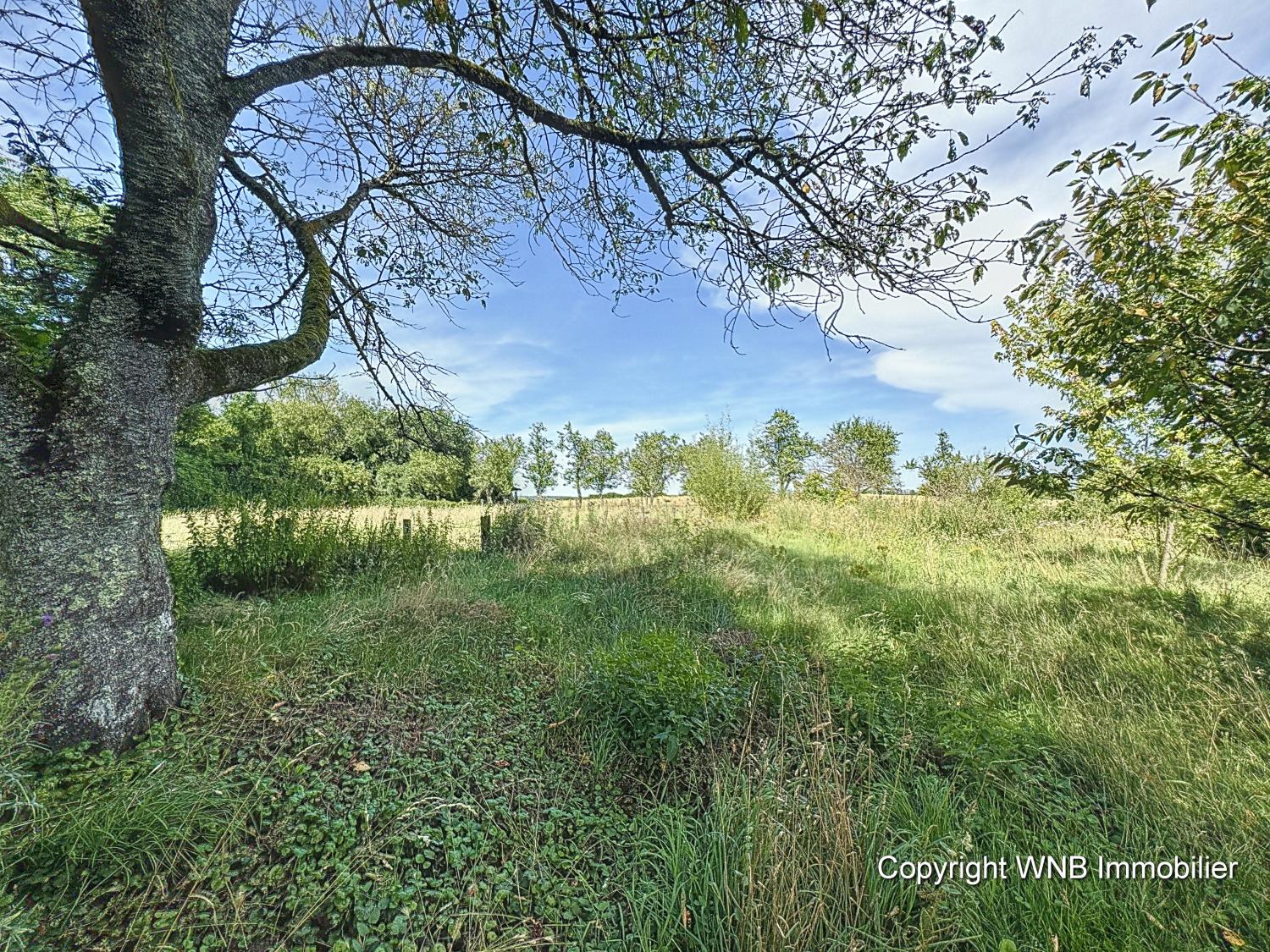  à vendre maison écologique Laferté-sur-Amance Haute-Marne 13