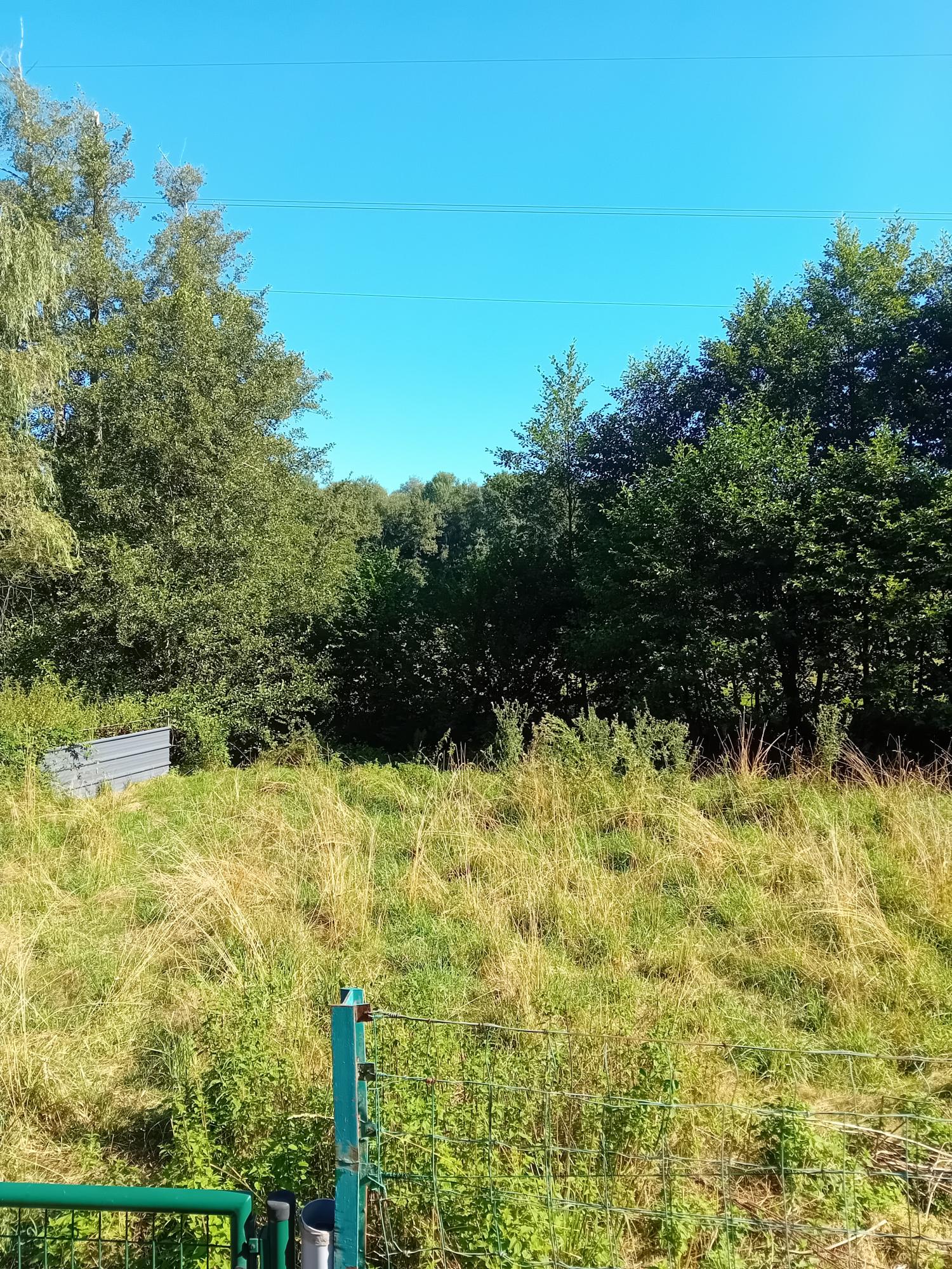  à vendre maison indépendant Peyrat-le-Château Haute-Vienne 18
