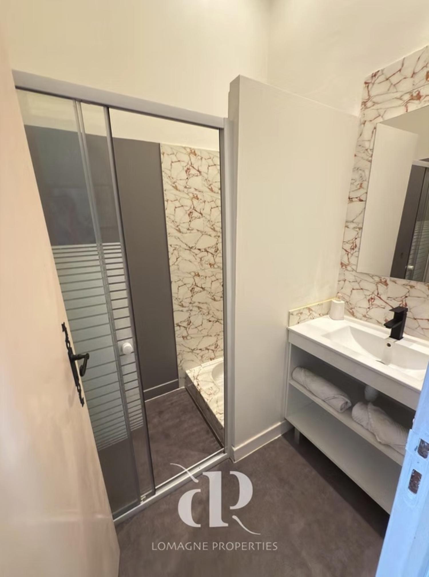 à vendre maison Beaumont-de-Lomagne Tarn-et-Garonne 10