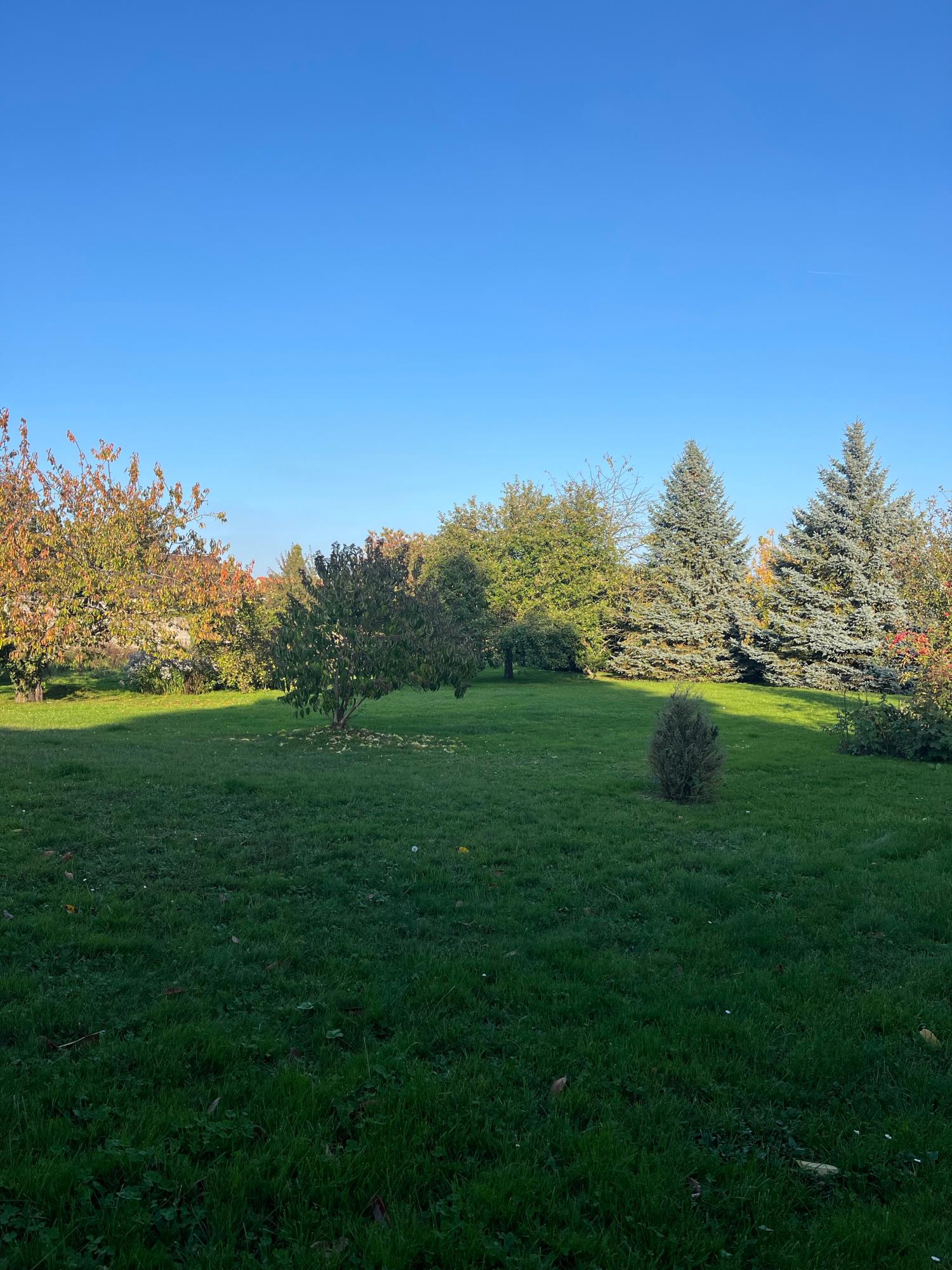  à vendre maison indépendant La Houssaye-en-Brie Seine-et-Marne 10