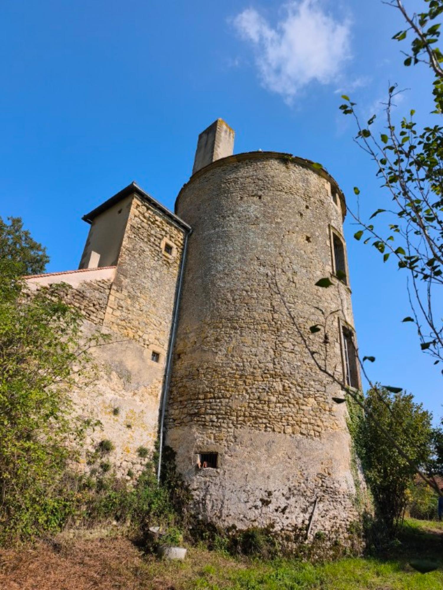  à vendre château Montigny-sur-Canne Nièvre 6