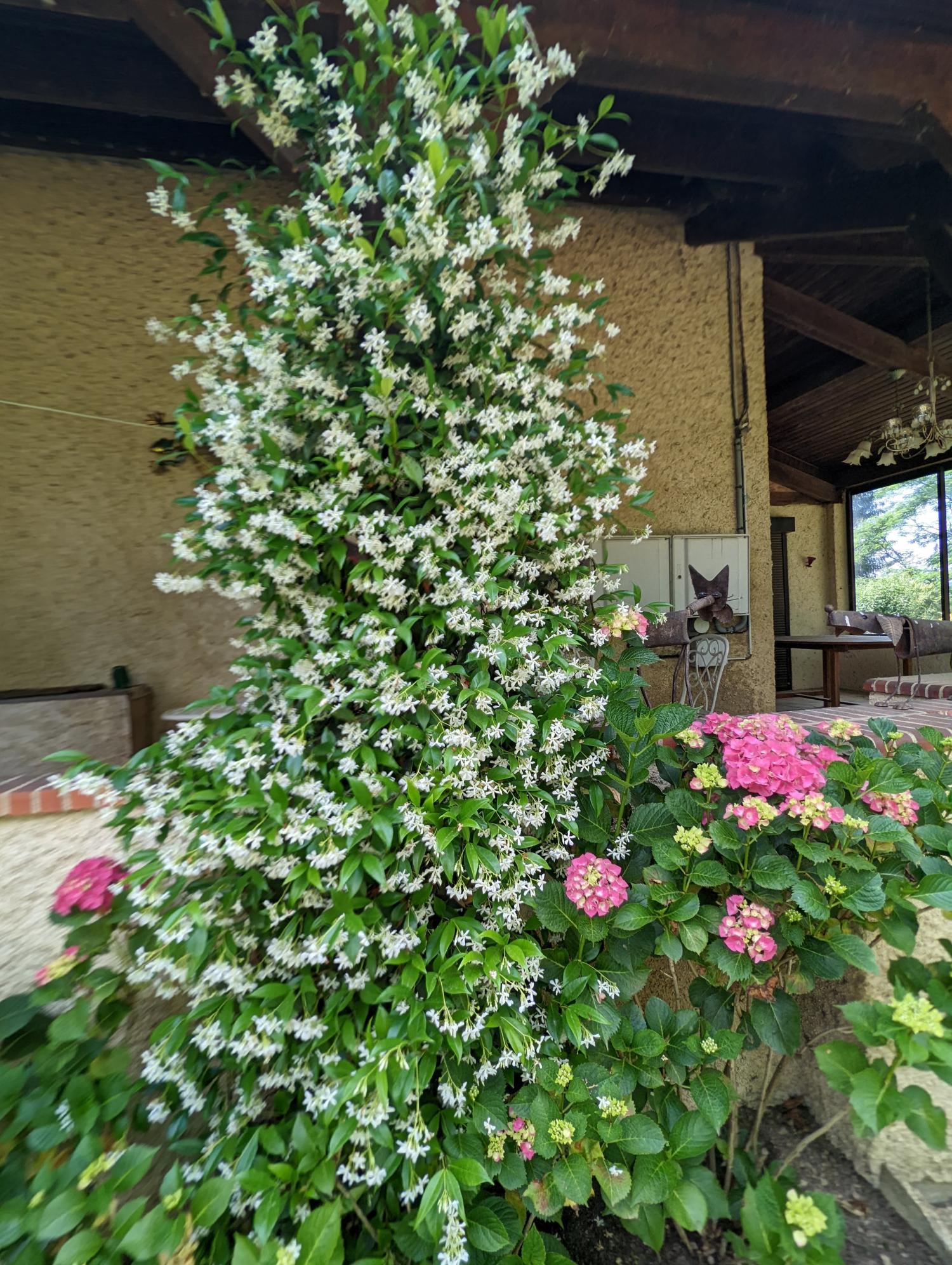 à vendre maison indépendant Lannux Gers 23