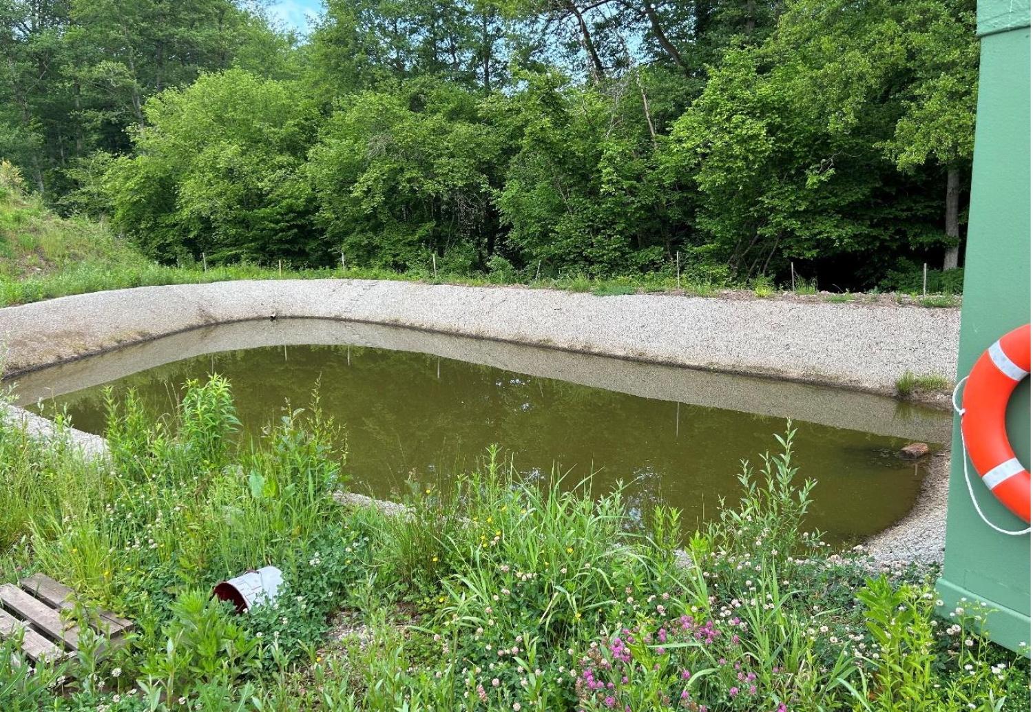  à vendre terrain Waldhambach Bas-Rhin 9