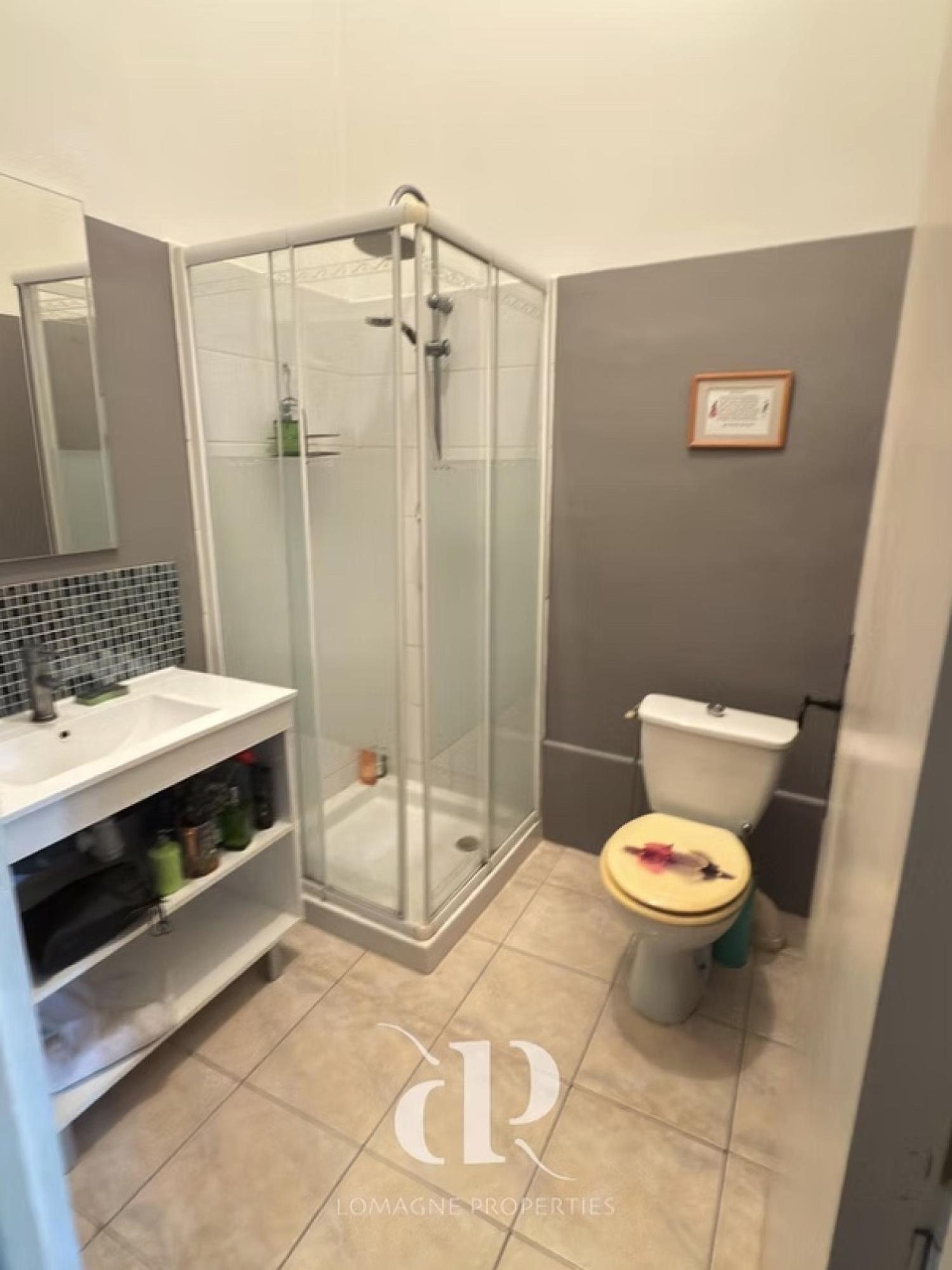 à vendre maison Beaumont-de-Lomagne Tarn-et-Garonne 16