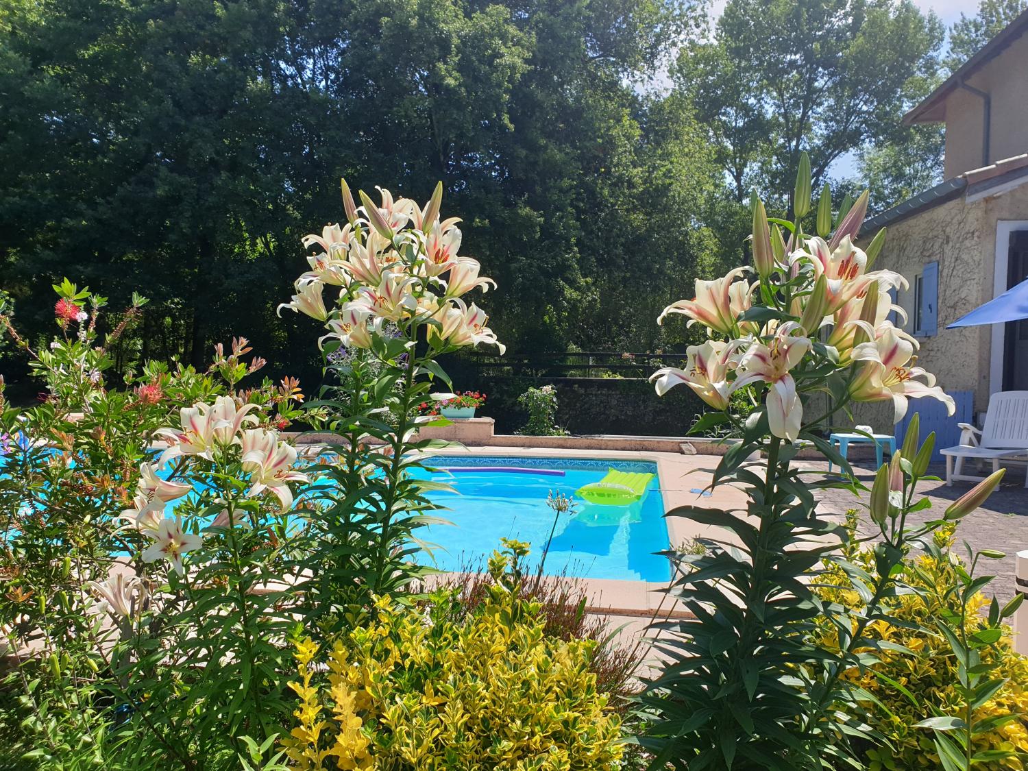 à vendre maison indépendant Lannux Gers 7