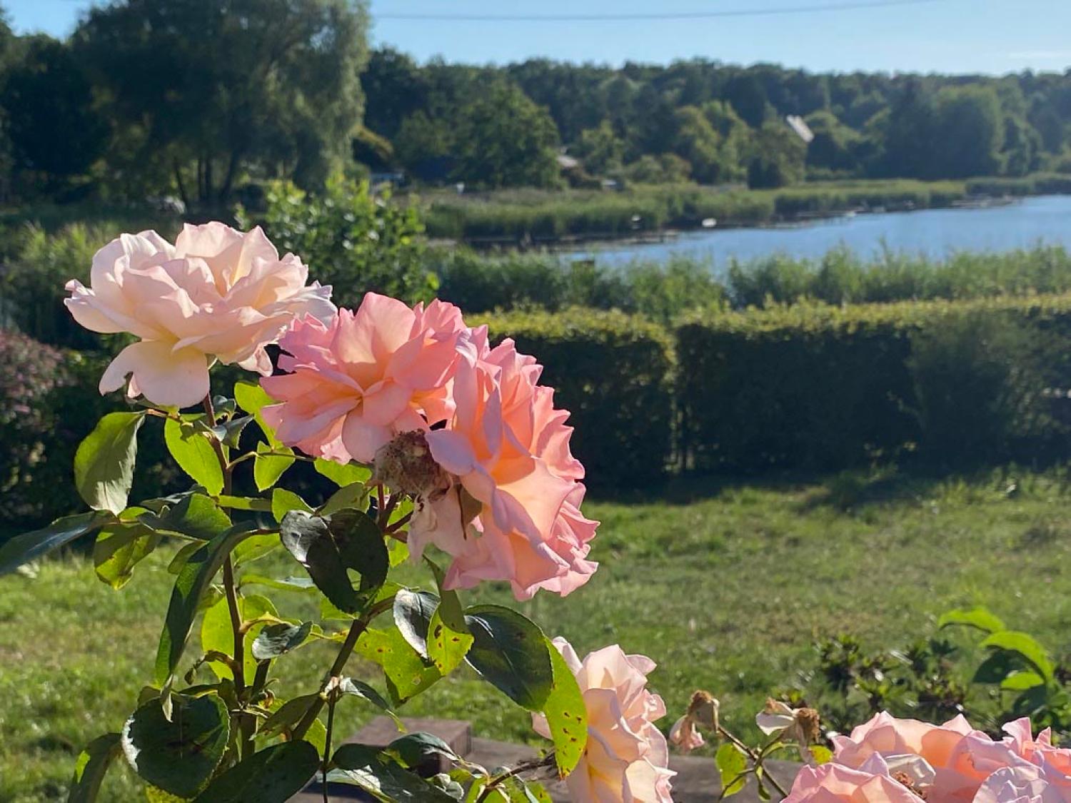 à vendre maison Rémering-lès-Puttelange Moselle 10