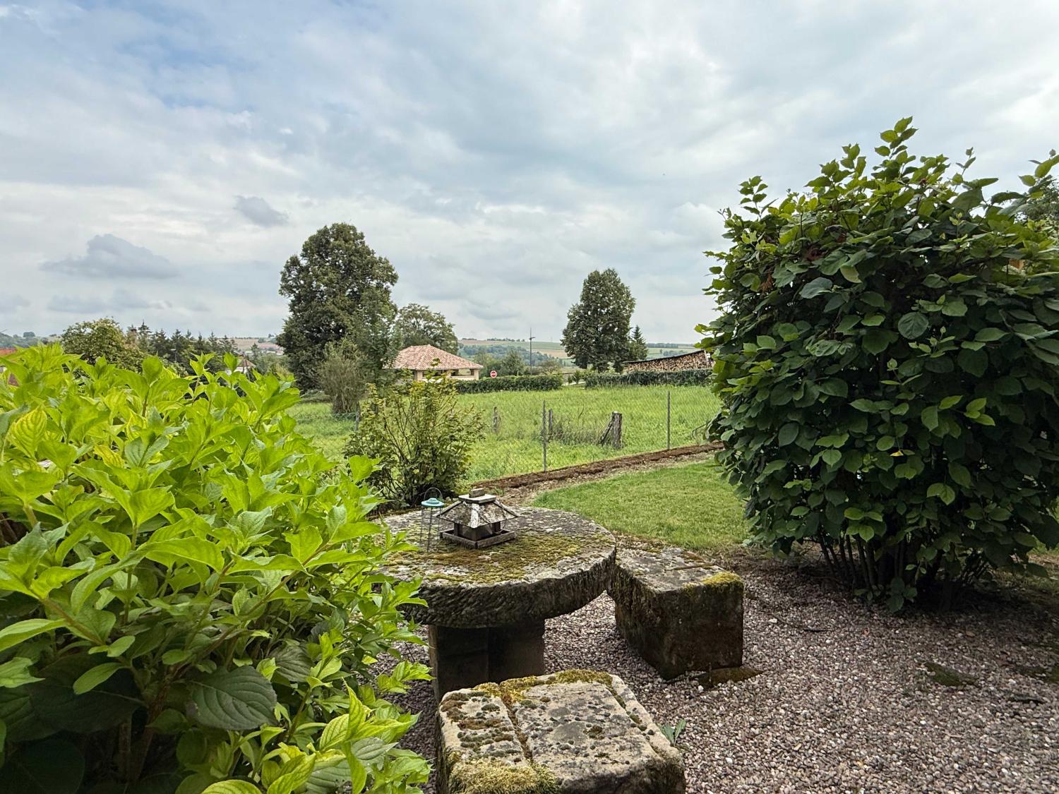  à vendre monastère Châtillon-sur-Saône Vosges 7