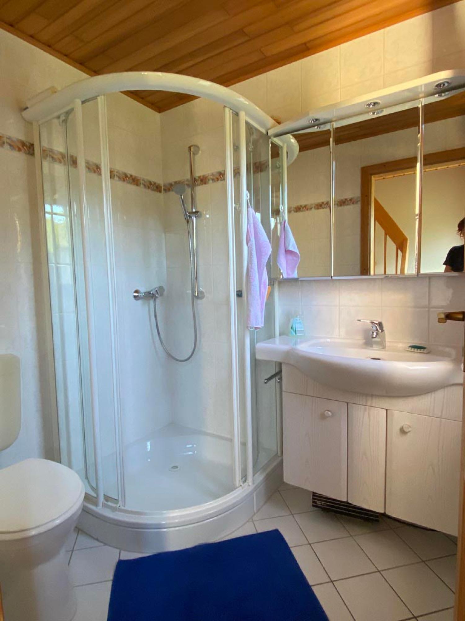  à vendre maison Rémering-lès-Puttelange Moselle 12