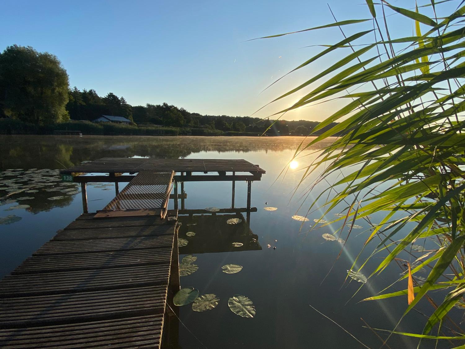  à vendre maison Rémering-lès-Puttelange Moselle 3