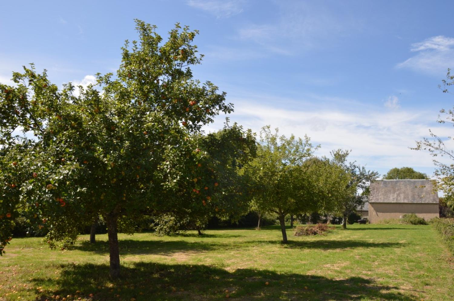  à vendre maison indépendant Aunay-en-Bazois Nièvre 4