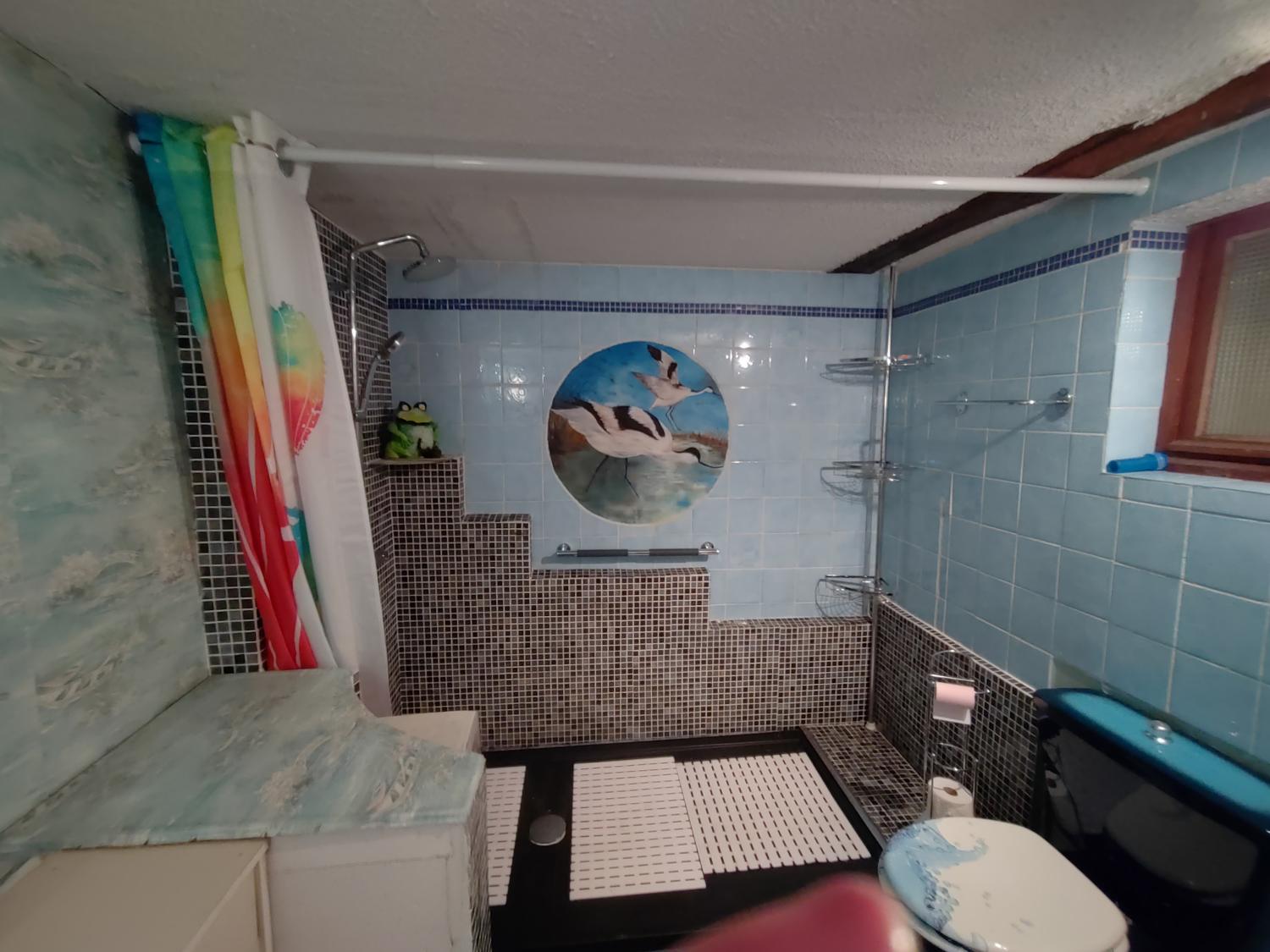  à vendre maison indépendant La Lanterne-et-les-Armonts Haute-Saône 13