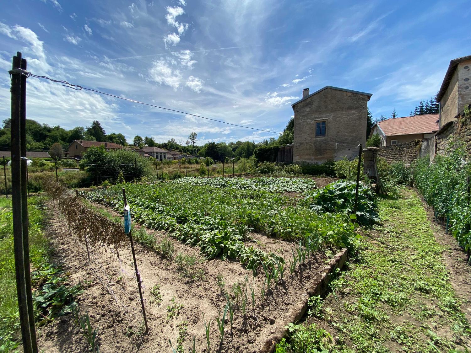 à vendre maison bourgeoise Monthureux-sur-Saône Vosges 30