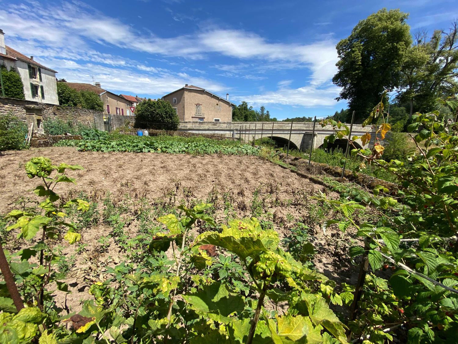 à vendre maison bourgeoise Monthureux-sur-Saône Vosges 32