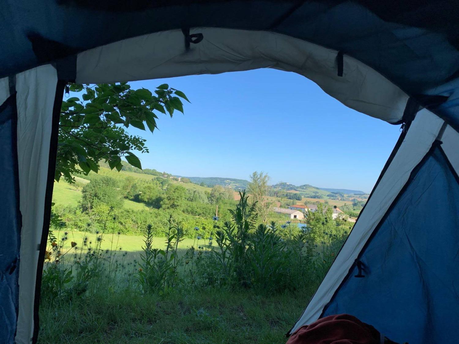  à vendre propriété Valeilles Tarn-et-Garonne 42