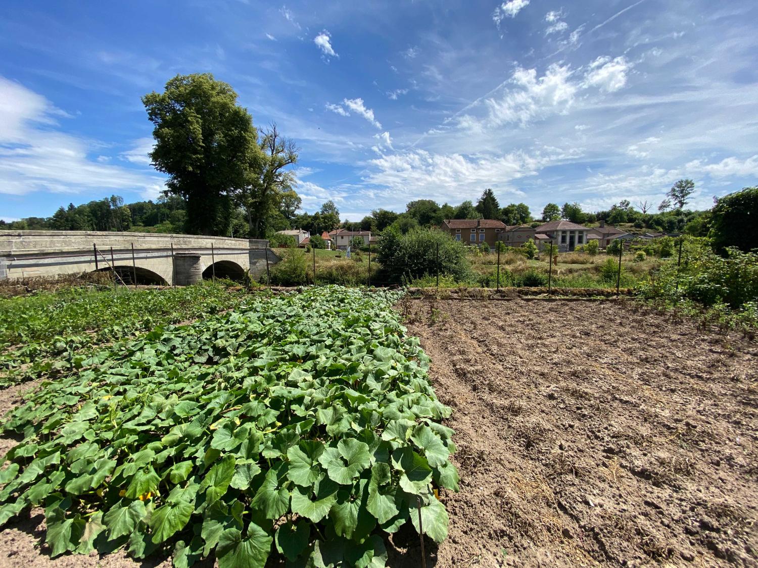 à vendre maison bourgeoise Monthureux-sur-Saône Vosges 34