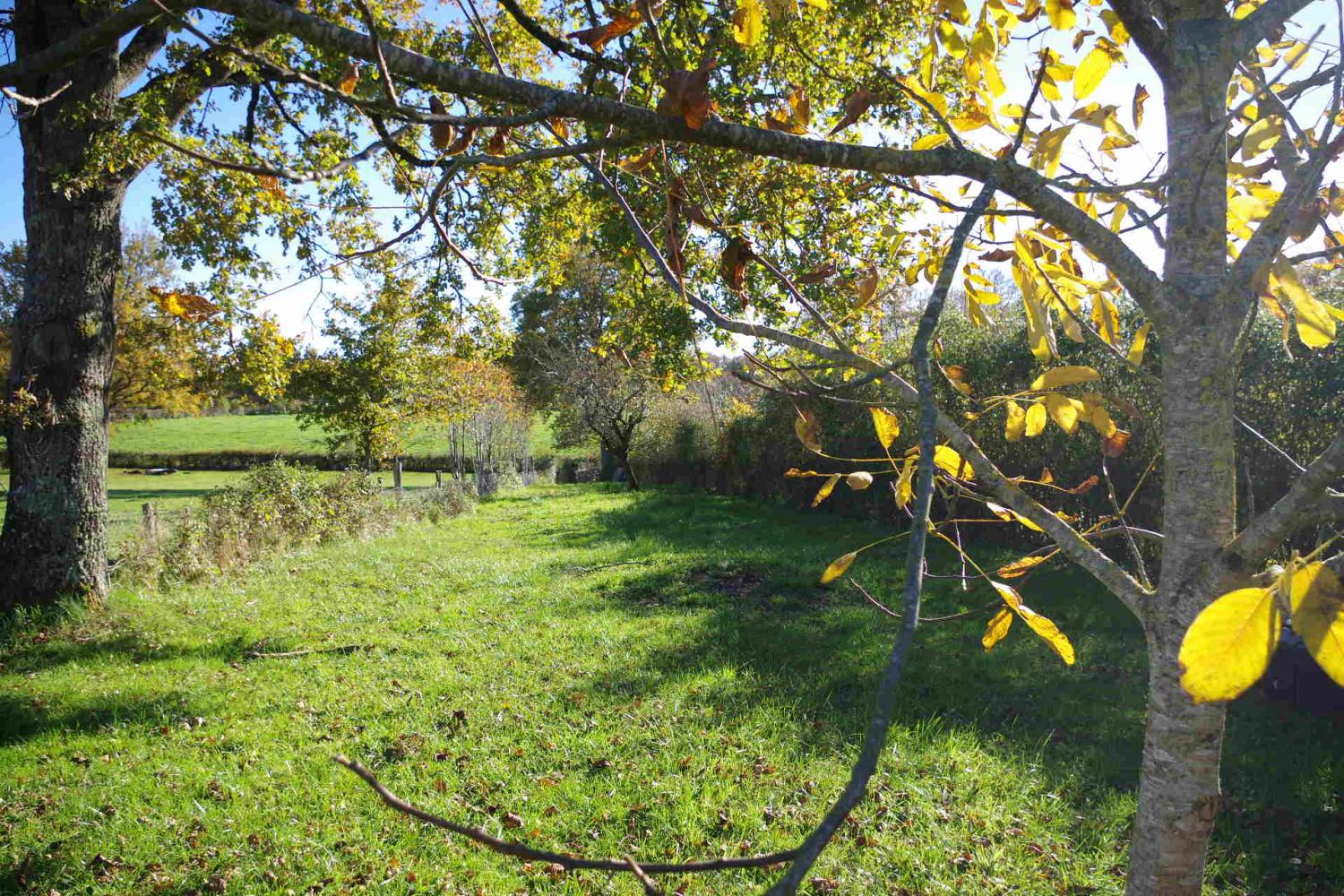 à vendre maison Vandenesse Nièvre 2