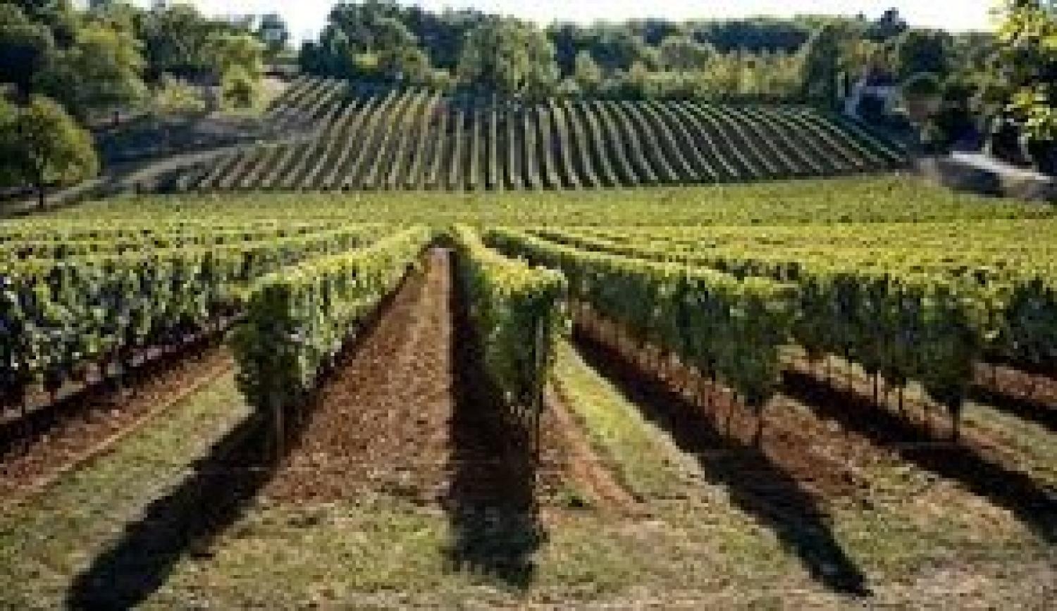  à vendre propriété Valeilles Tarn-et-Garonne 44