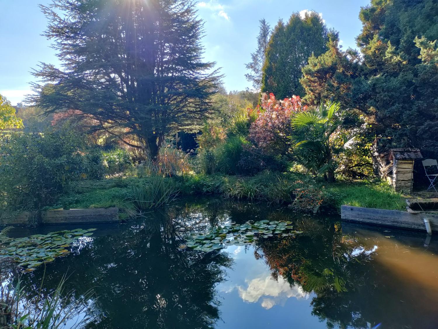  à vendre maison indépendant La Lanterne-et-les-Armonts Haute-Saône 7