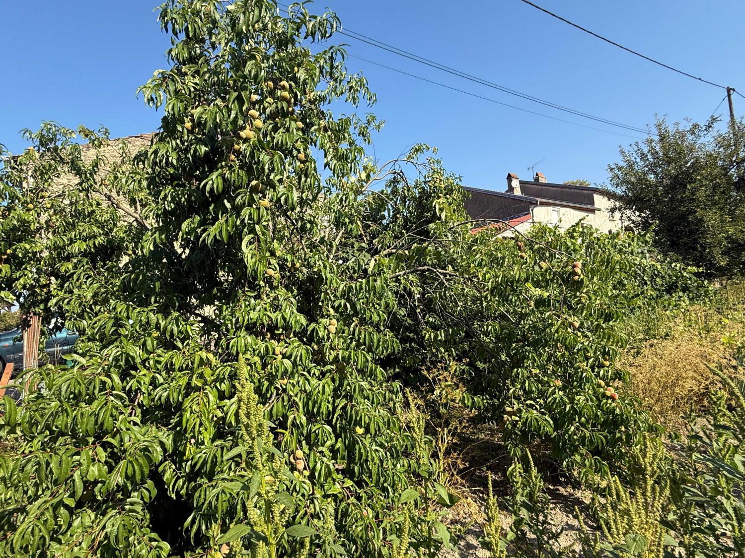  à vendre maison de village Enfonvelle Haute-Marne 19