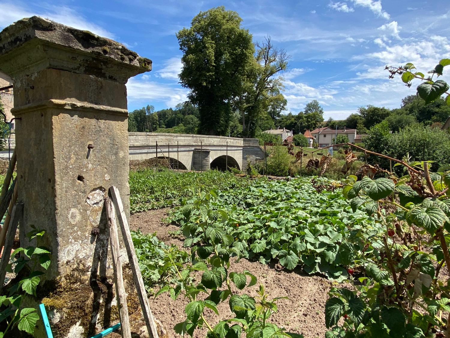 à vendre maison bourgeoise Monthureux-sur-Saône Vosges 33